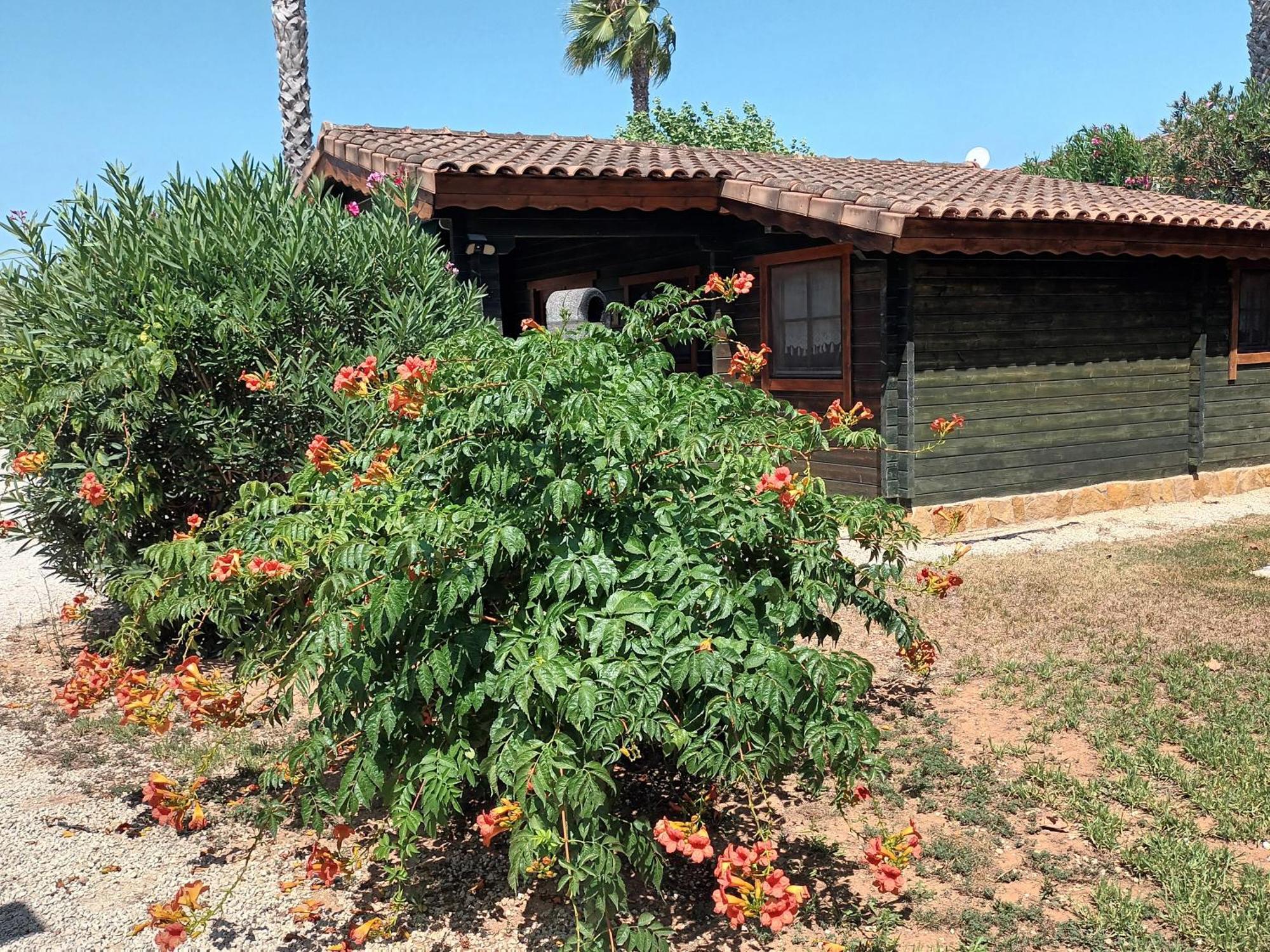 Entre Viejos Olivos Villa Benicolet Exterior photo